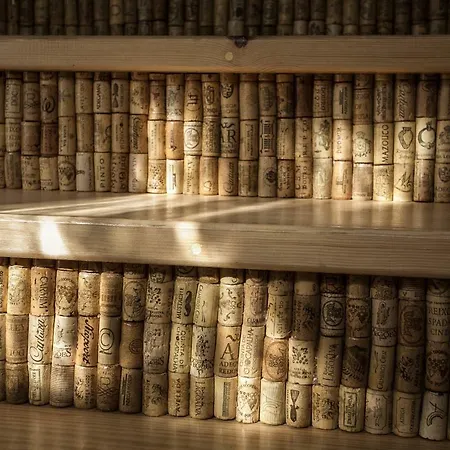 Casa Velha بيت ضيافة